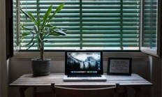 天涯房产观澜神贴分享：天涯论坛上的神龙马车